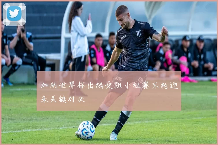 加纳世界杯出线受阻小组赛末轮迎来关键对决
