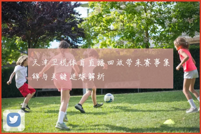 天津卫视体育直播回放带来赛事集锦与关键进球解析